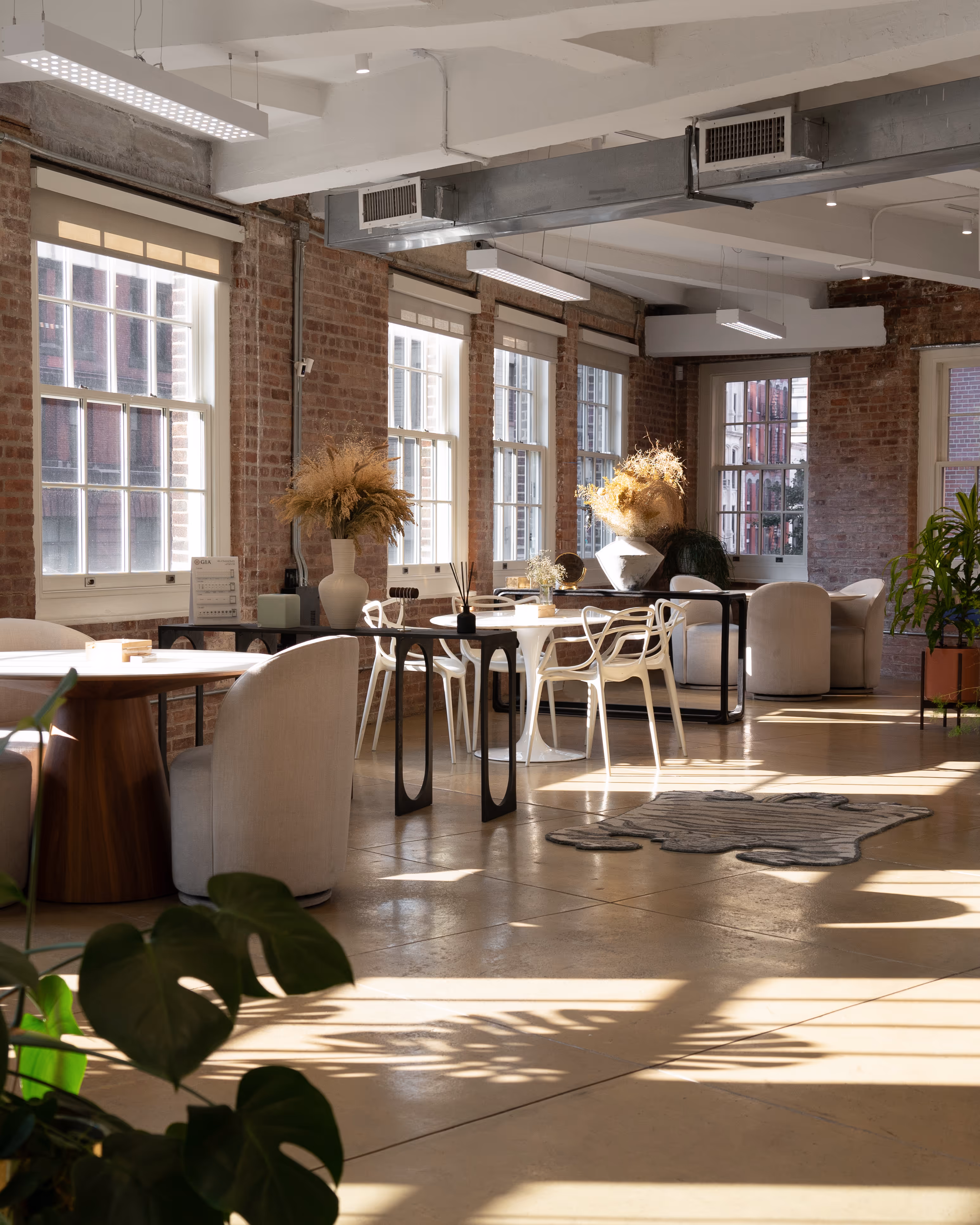 Studio setup for consultations